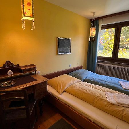 Apartamento Haus im Grünen Saalfelden Exterior foto