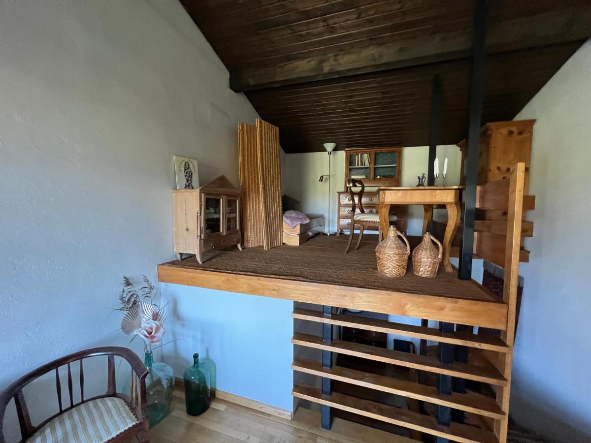 Apartamento Haus im Grünen Saalfelden Exterior foto